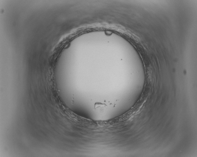 X0000069381494200606021553