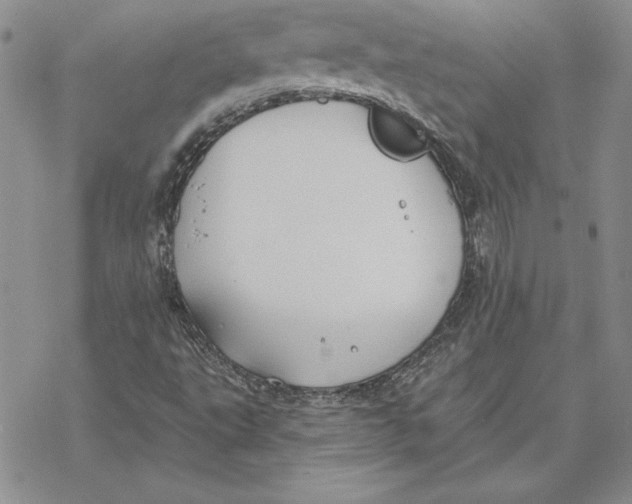 X0000069381495200606021553