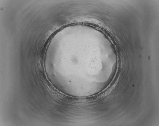 X0000069381497200606021553