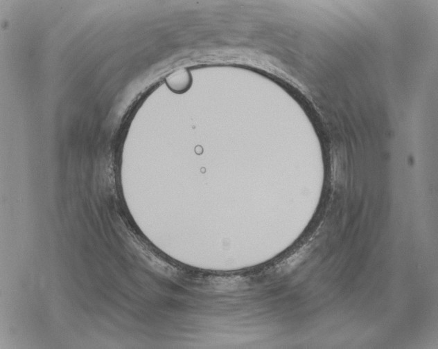 X0000069381498200606021553