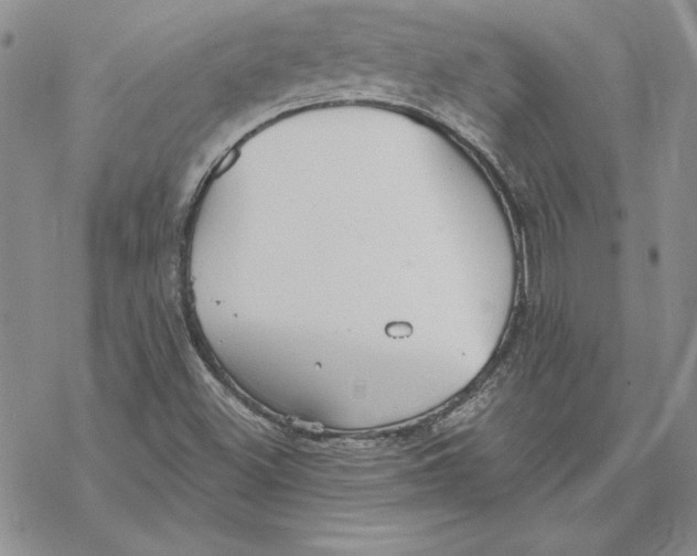 X0000069381500200606021553