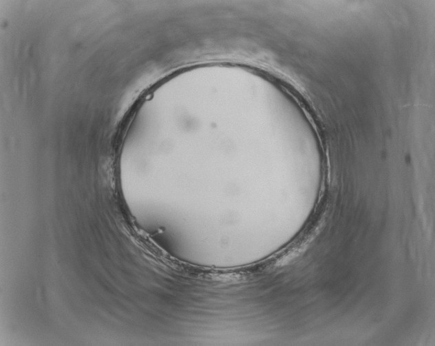 X0000069381501200606021553