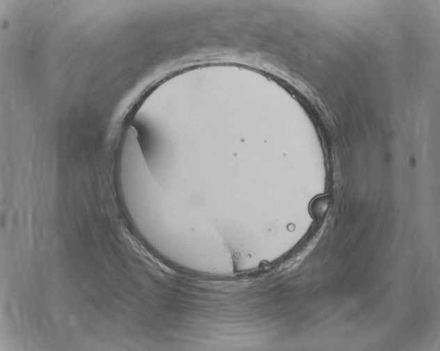 X0000069381502200606021553