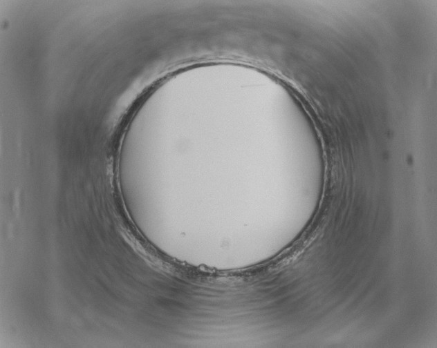 X0000069381503200606021553