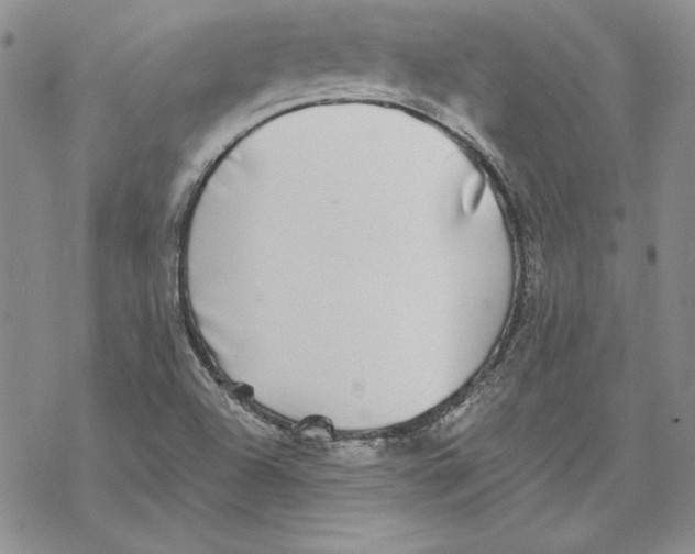 X0000069381504200606021553