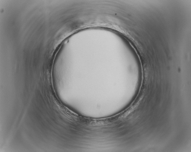 X0000069381505200606021554