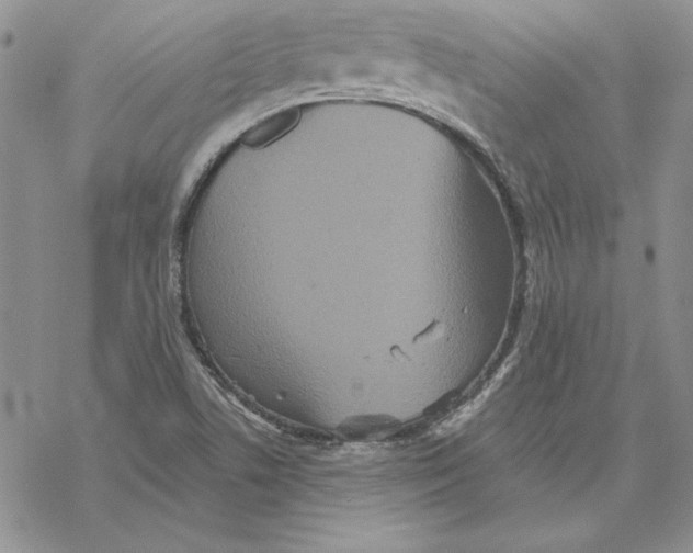 X0000069381506200606021554