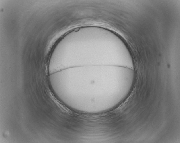 X0000069381507200606021554