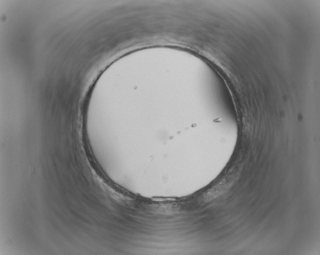 X0000069381508200606021554