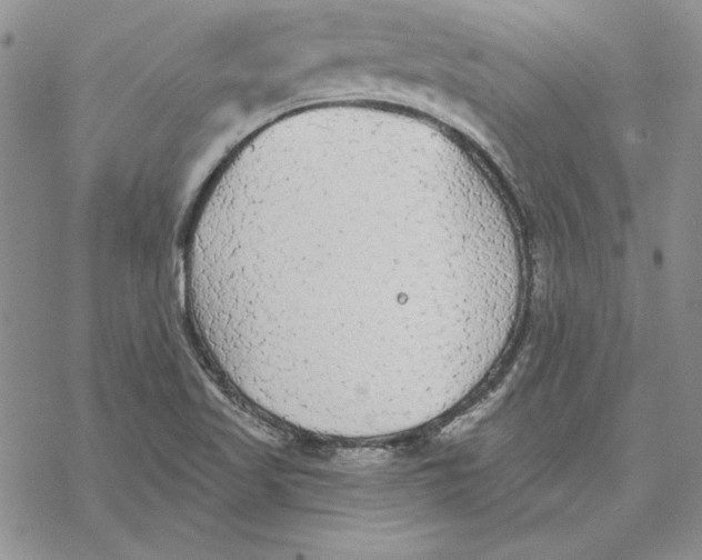 X0000069381509200606021554