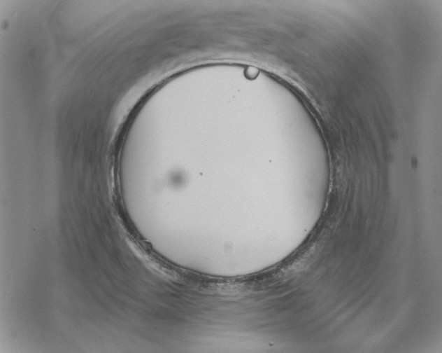 X0000069381511200606021554