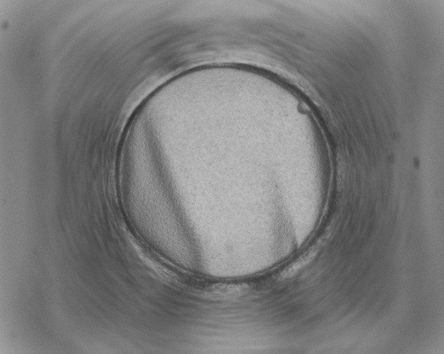 X0000069381513200606021554