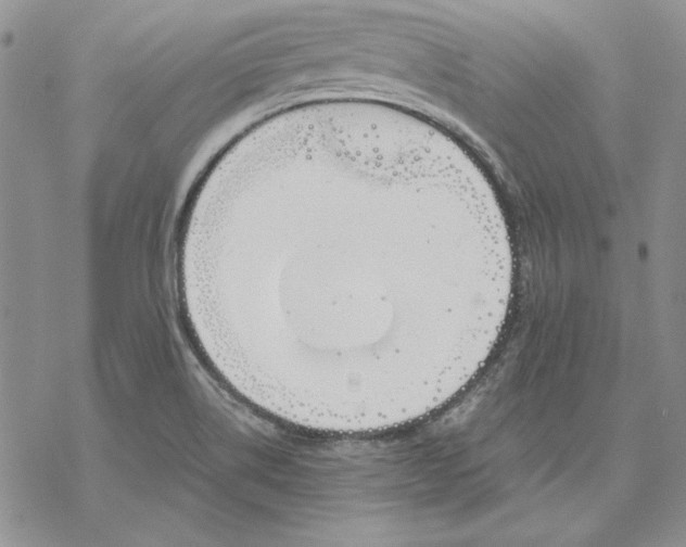 X0000069381514200606021554