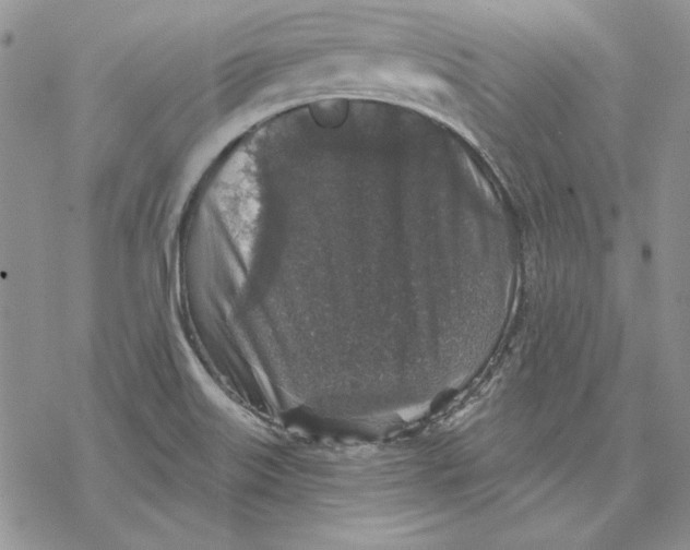 X0000069381515200606021554