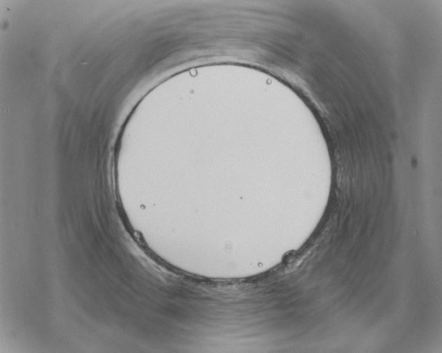 X0000069381516200606021554