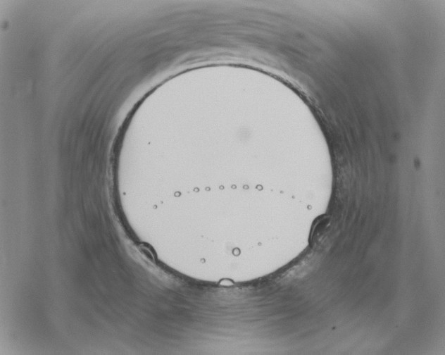 X0000069381518200606021554