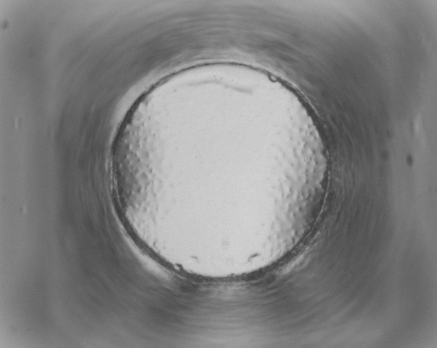 X0000069381519200606021554