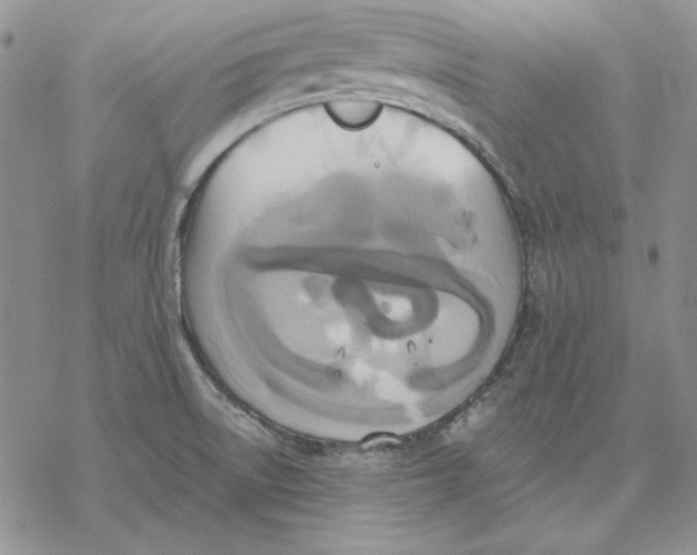 X0000069381522200606021554