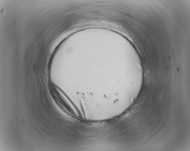 X0000069381523200606021554