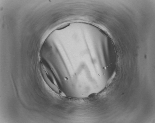 X0000069381524200606021554