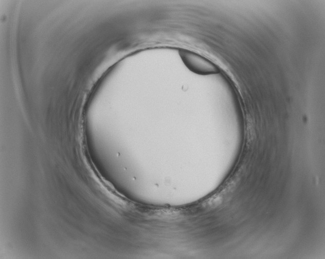 X0000069381525200606021554