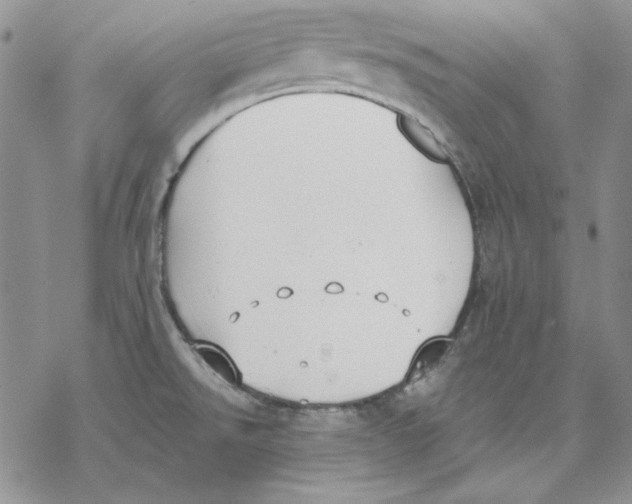 X0000069381526200606021554