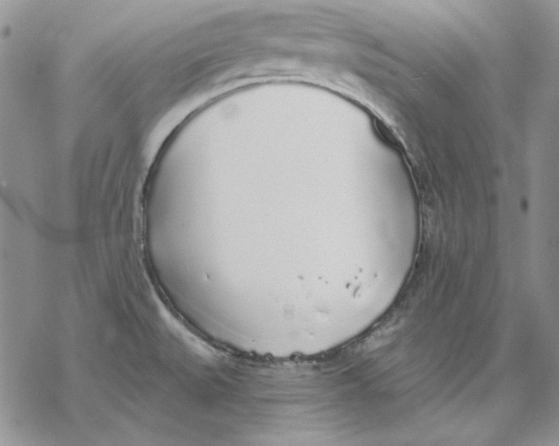 X0000069381527200606021554