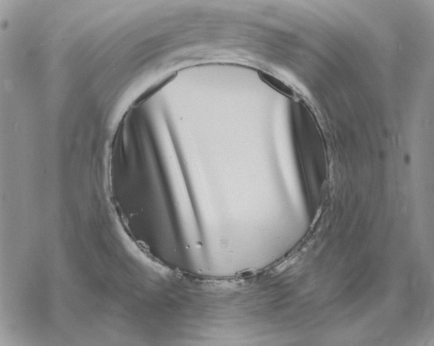 X0000069381528200606021554