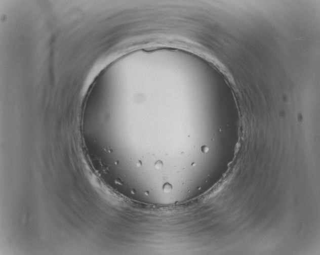 X0000069381530200606021554