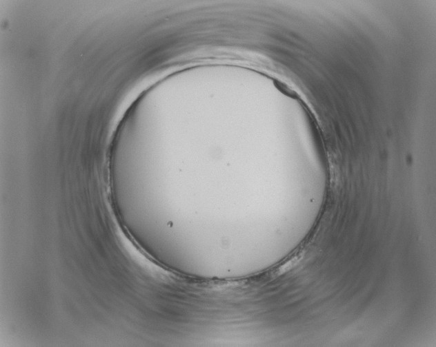 X0000069381531200606021554