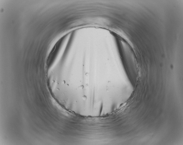 X0000069381532200606021554