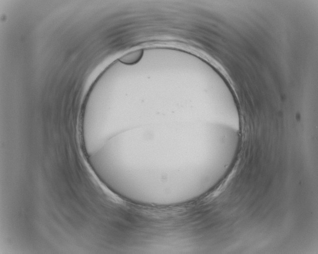 X0000069381533200606021554