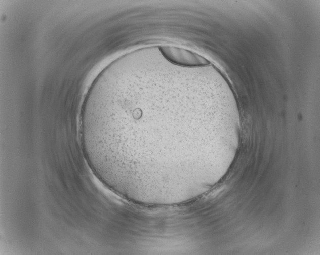 X0000069381535200606021554