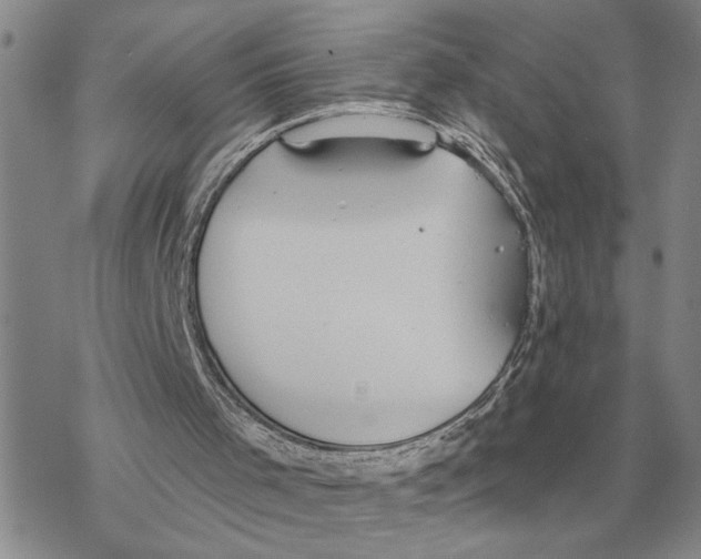 X0000069380001200606091702