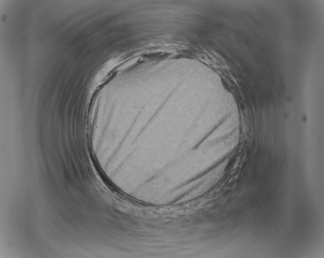 X0000069380003200606091702