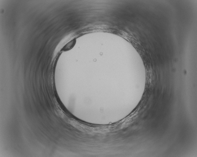 X0000069380004200606091702