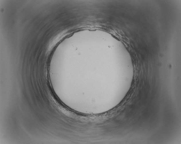 X0000069380005200606091702