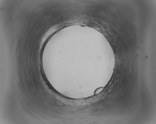 X0000069380006200606091702