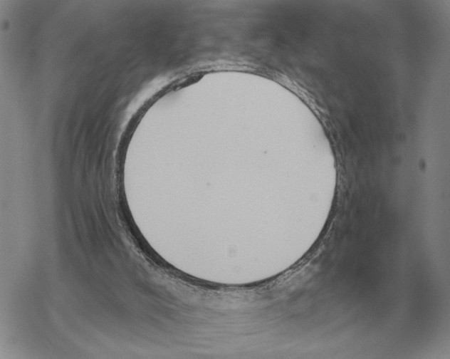 X0000069380008200606091702