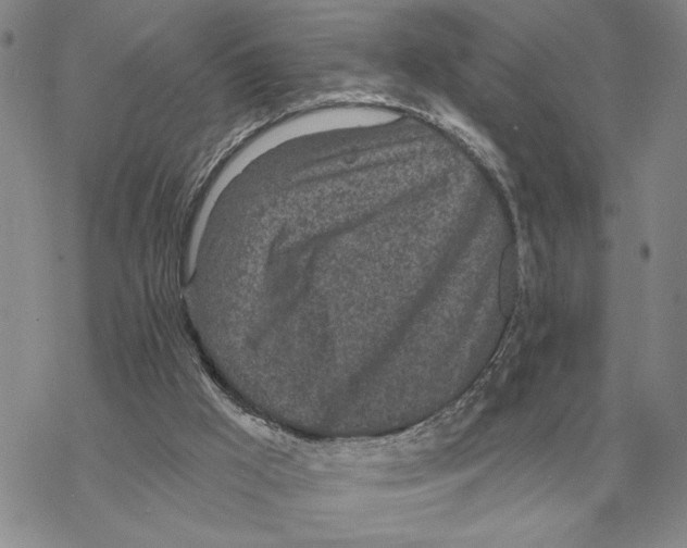 X0000069380009200606091702