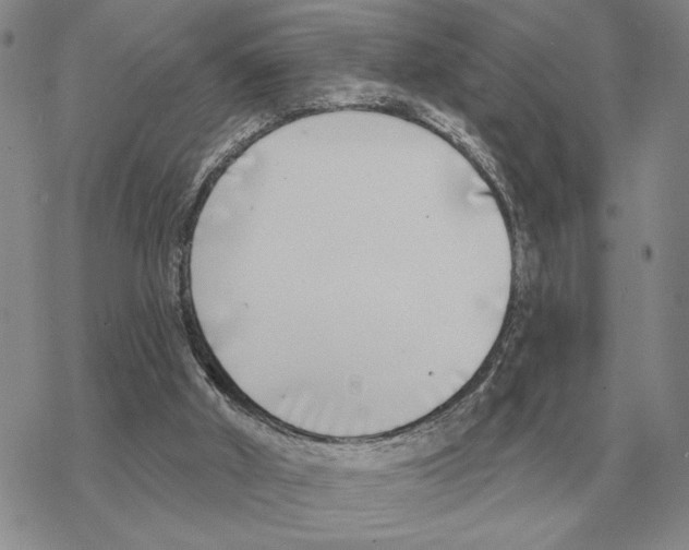 X0000069380010200606091702