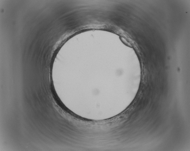 X0000069380011200606091702