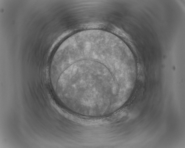 X0000069380012200606091702