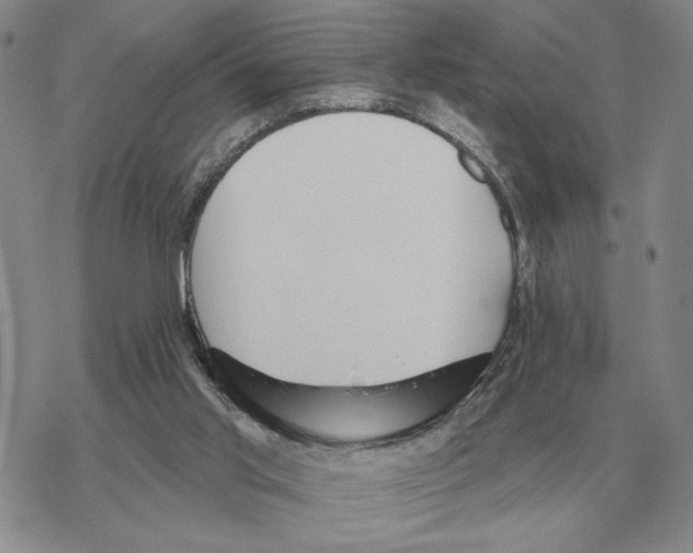 X0000069380013200606091702