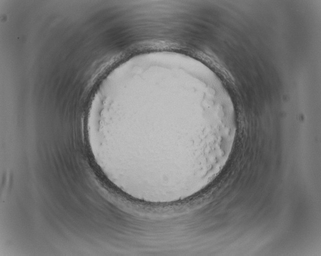 X0000069380014200606091702