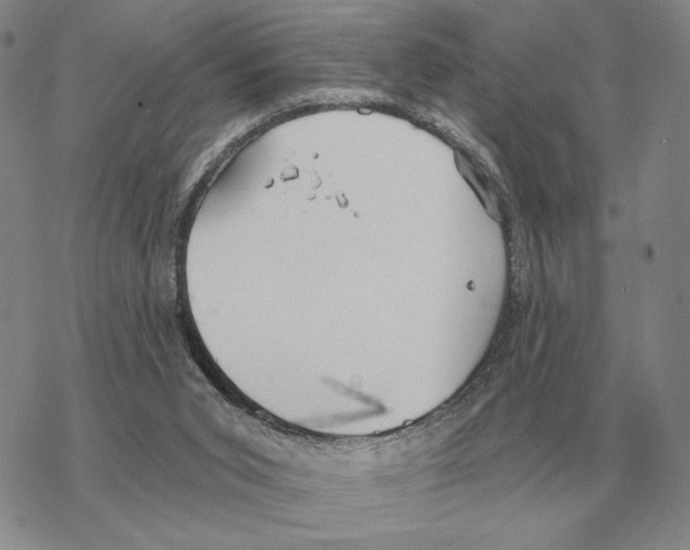 X0000069380015200606091702