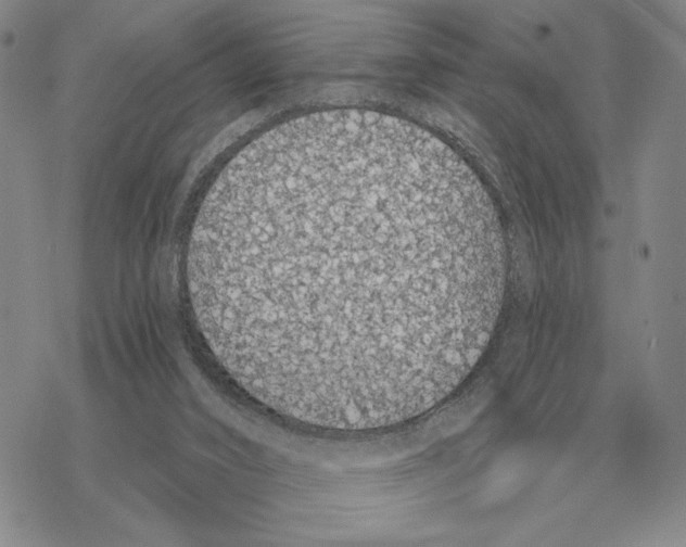 X0000069380016200606091702