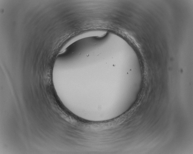 X0000069380017200606091702