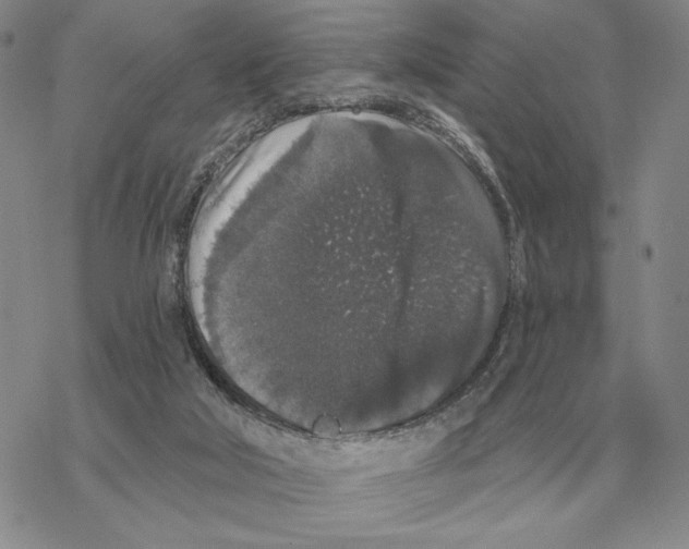 X0000069380018200606091702