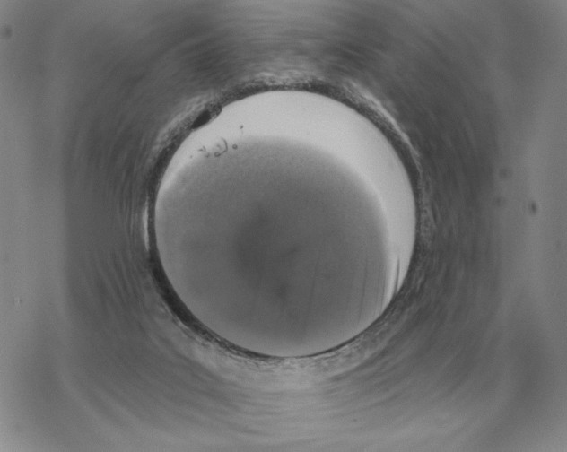 X0000069380019200606091702